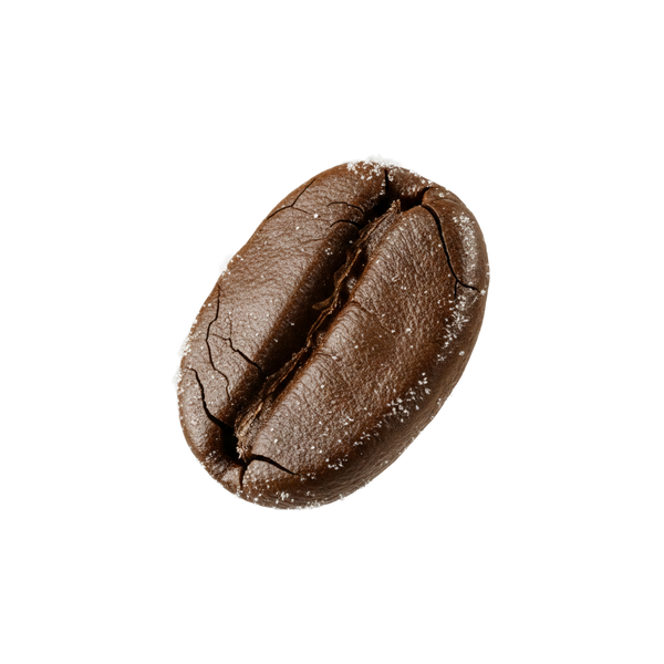 Selection &amp; Roasting