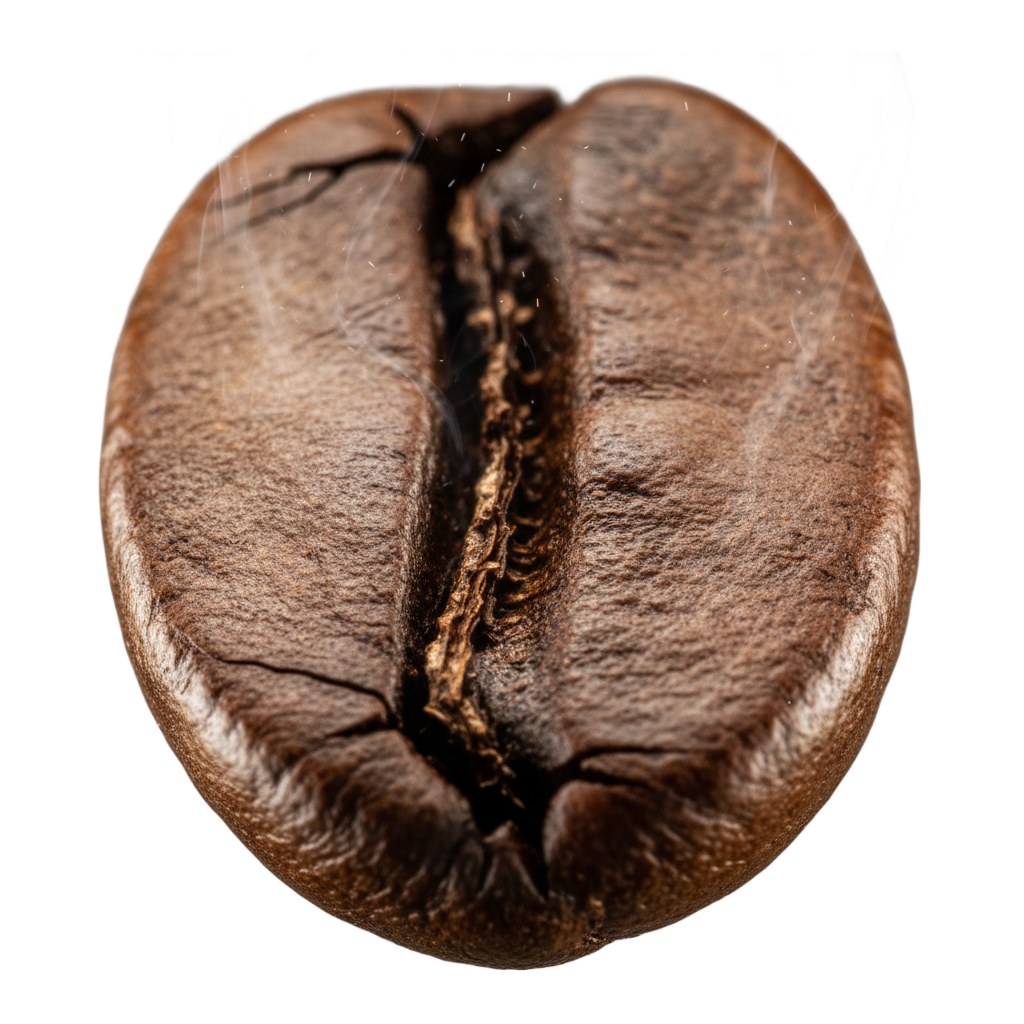 Selection &amp; Roasting