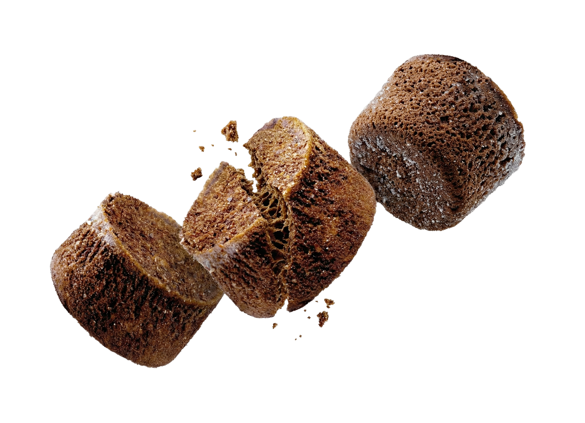 Vacuum Drying (Lyophilization)